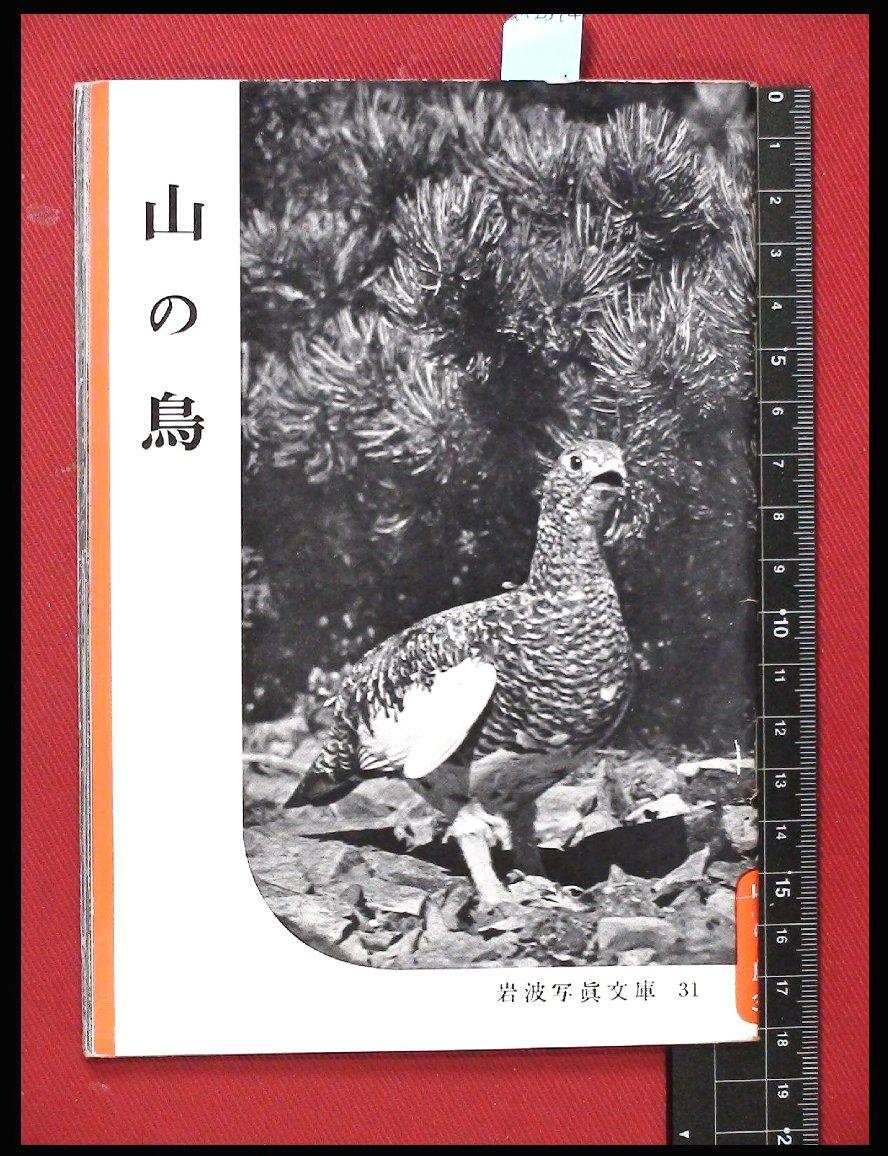 岩波写真文庫31】山の鳥 1954年 / 頭突書店 / 古本、中古本、古書籍の