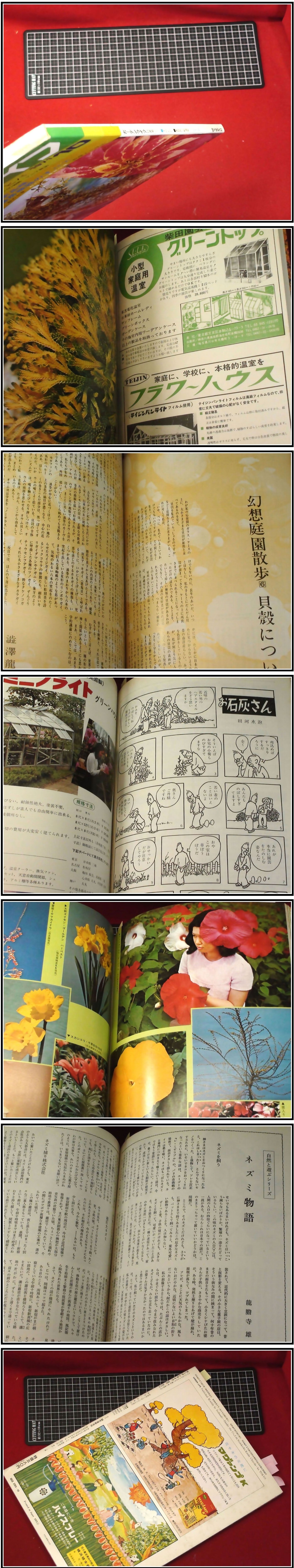 此商品圖像無法被轉載請進入原始網查看